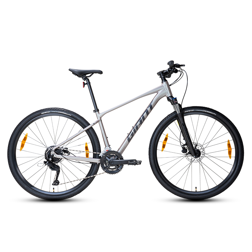 Touring Giant Roam 3